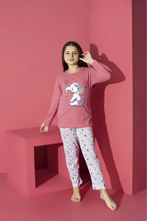 Pijama Fete, Mânecă Lungă, Imprimeu elefant, Roz deschis