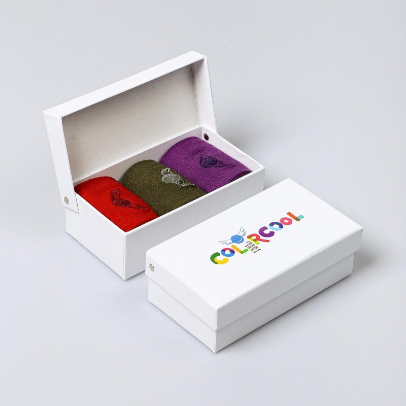 Set 3 Perechi Șosete Bărbătești Mercerizate Color Cool