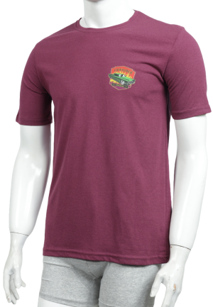 Tricou bărbați cu imprimeu LOWRIDER – croială lejeră
